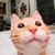 XxBelkYxX :iconxxbelkyxx: