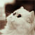 :iconxxblackie: