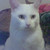 :iconxxblackillusionxx:
