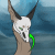 :iconxxbloodfearxx: