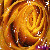 :iconxxbreakingdawnxx: