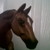:iconxxbreyeranonymousxx: