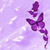 :iconxxbutterfliesxx: