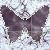 :iconxxbutterfly-wingzxx: