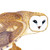 :iconxxcaitieq: