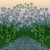:iconxxcentalifexx: