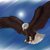 xXChaos94Xx :iconxxchaos94xx: