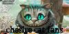 xxchesire-cat-fans :iconxxchesire-cat-fans: