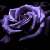 :iconxxclinicallydeadxxx: