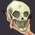 :iconxxcoloreddreamsxx: