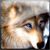 :iconxxcooldudexx: