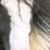 :iconxxcoralaine: