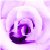 :iconxxcrystalrainxx:
