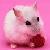 :iconxxdain-bramagedxx: