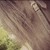 :iconxxdiamondrainbowxx:
