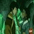:iconxxdreamerx: