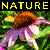 :iconxxericsinfernoxx: