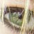 :iconxxfadeawayxx: