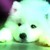 :iconxxfadeshadowxx: