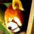 :iconxxfearfluffyxx: