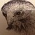 :iconxxfeathersxx: