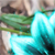 :iconxxfftlxx: