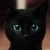 :iconxxfirefeldsparxx: