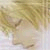 :iconxxfiretenshixx: