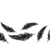 :iconxxgazettexx: