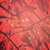 :iconxxgrimmysxcakexx96: