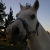 :iconxxhaemo-stockxx: