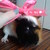 :iconxxhoneymoonxx: