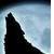 :iconxxhowlingwolfxx: