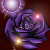 :iconxxkage-no-rosexx: