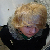 :iconxxkiillxx: