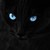 XxKitty-MoewxX :iconxxkitty-moewxx: