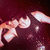 :iconxxkpoprhythmxx: