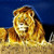 :iconxxlightninglionxx: