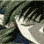 :iconxxlittlexxkinz: