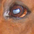 :iconxxlove11xx: