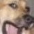 :iconxxlovelylaurenxx: