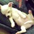 :iconxxmdog15xx: