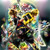 xxMikko2Lovexx :iconxxmikko2lovexx: