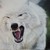:iconxxnikita-catxx: