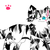 :iconxxninjakittenxx: