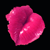 :iconxxnleexx: