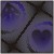 :iconXxOnyxAngelxX: