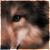 :iconxxparadox: