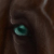 :iconxxpassion: