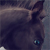 :iconxxpassionately: